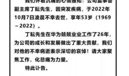 华为监事会副主席丁耘因突发疾病去世 享年53岁