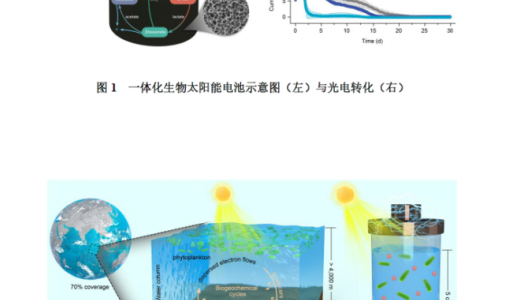 我国科学家创建出仿生海洋电池