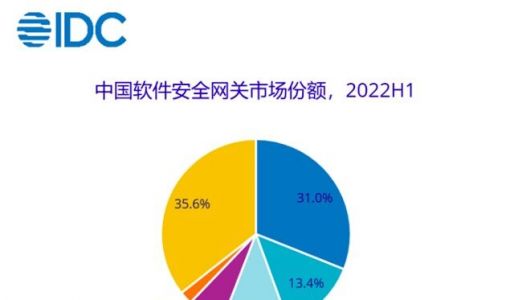 IDC：2022上半年中国IT安全软件市场同比增长13.1%