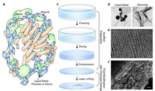 科学家证明吃“土”可治疗肠炎！中国学者造出神奇的材料