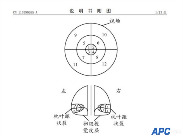 太先进！华为脑机接口专利公开：无需直视就能下发命令