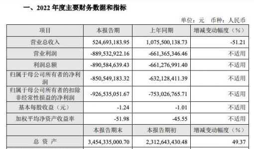 云从科技2022年营收减半 亏损再扩大 股价今日开盘下跌