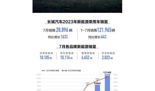 长城汽车7月新能源车销量28896辆，同比大增163%